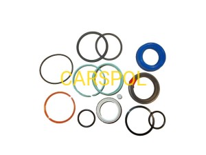 Seal kit 801 for JCB ZAM