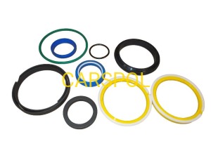 Kit-seal 110 x 50 for JCB TELEHANDLER ZAM
