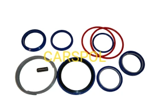 Kit Seal 60 mm x 110 mm  for JCB 3CX 4CX ZAM